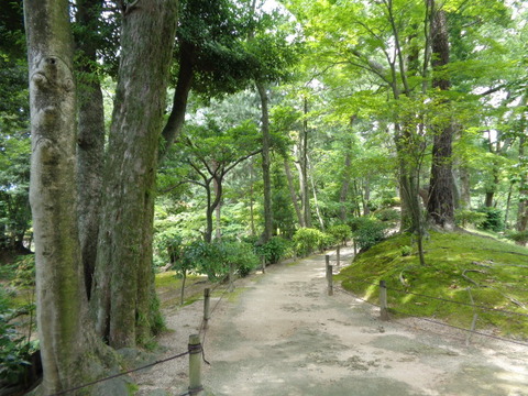 DSC09824