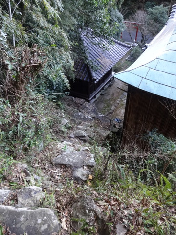 DSC02700
