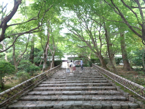 DSC00175