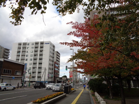 DSC03245