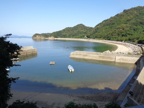 DSC09514