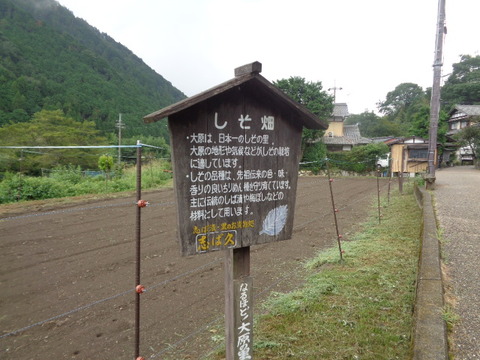 DSC01501