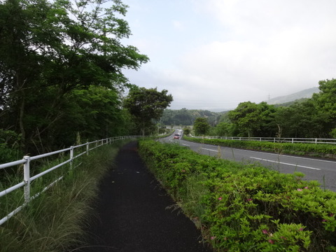DSC05856