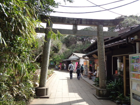 DSC08036