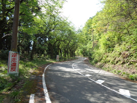 DSC02991