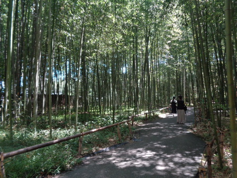 DSC02021