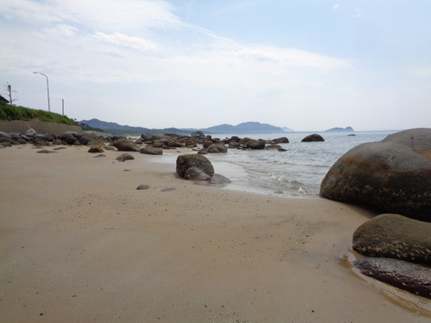 DSC07169