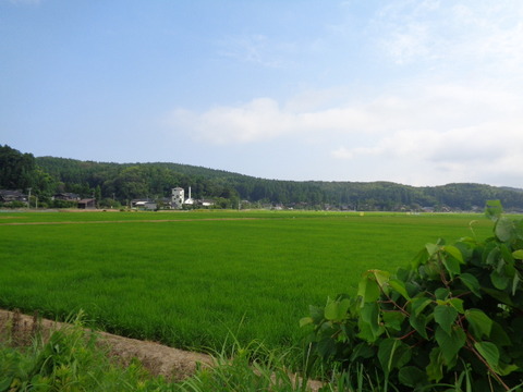DSC08527