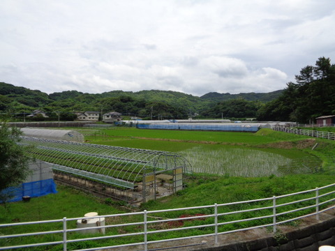DSC00704