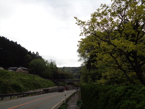 DSC05191