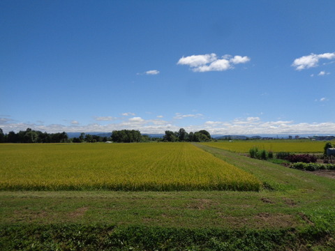 DSC03842