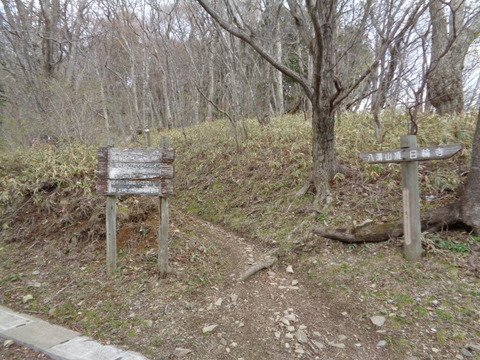 DSC00061