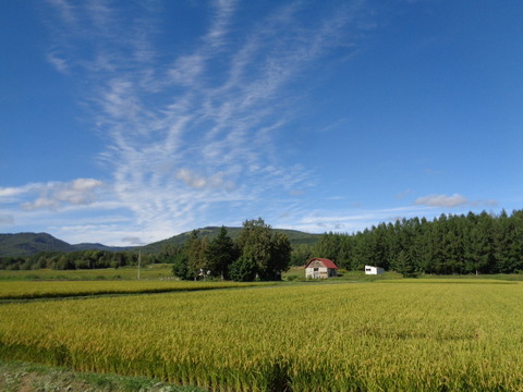 DSC03914