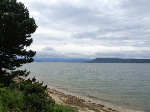 DSC00520
