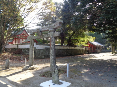 DSC09802