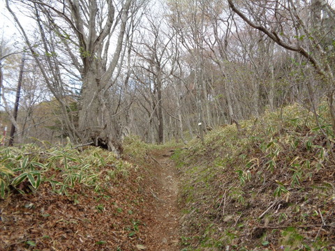 DSC00063