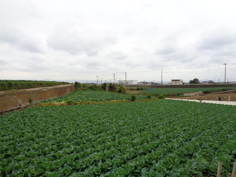 DSC08359