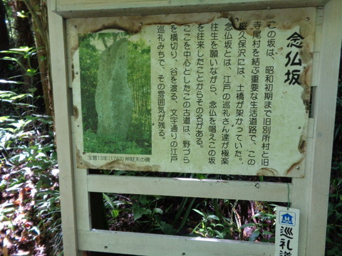 DSC02650