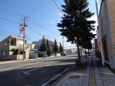 DSC03216