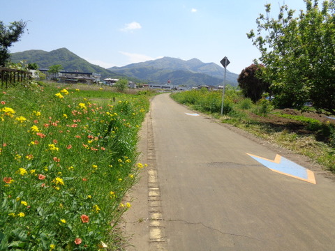 DSC01854