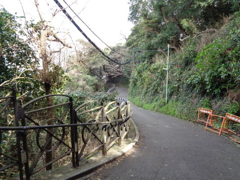 DSC08046