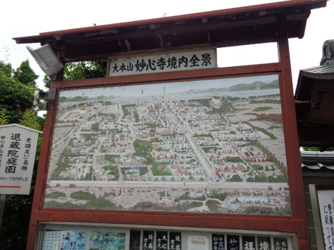 DSC00388