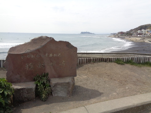 DSC08155