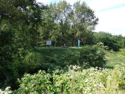 DSC04392