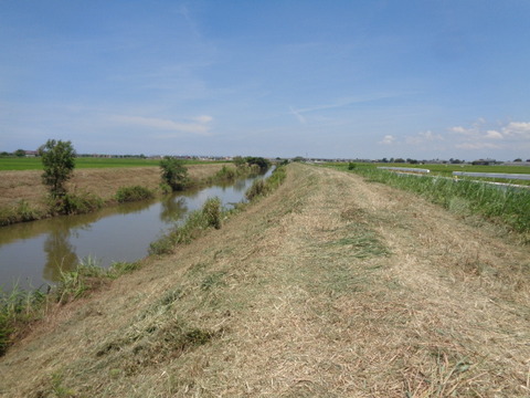 DSC08898