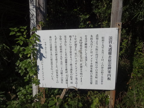 DSC01453