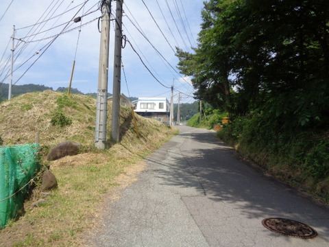 DSC00966