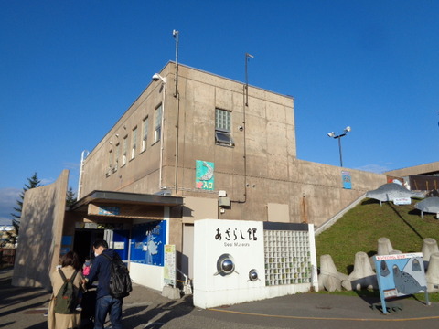 DSC03514