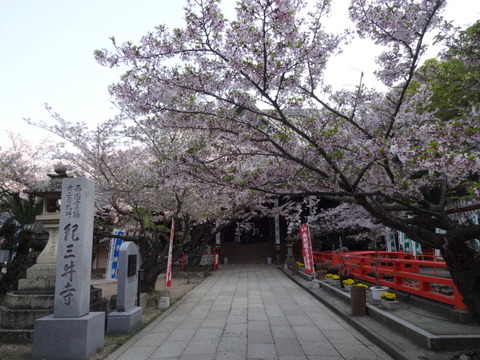 DSC04691
