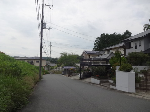 DSC09012