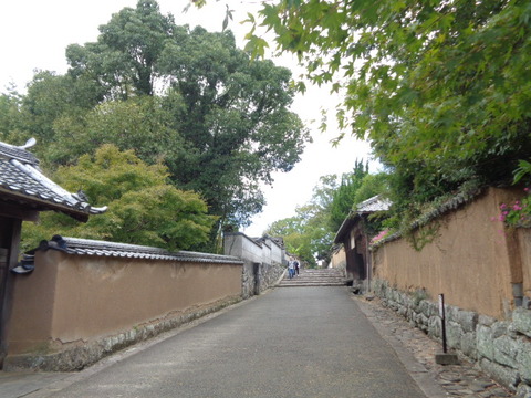 DSC00358