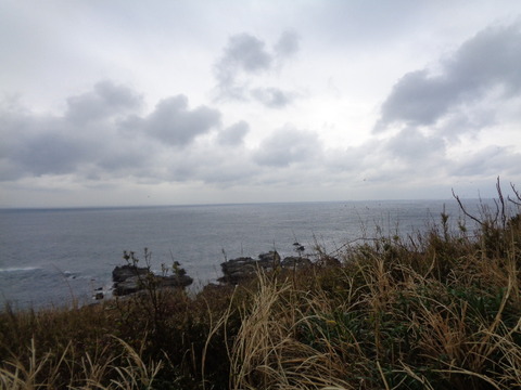 DSC08431