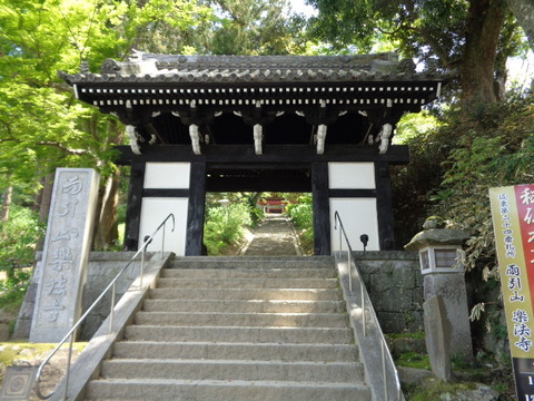 DSC01777