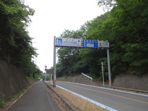 DSC07281