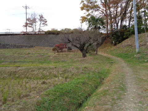 DSC04242