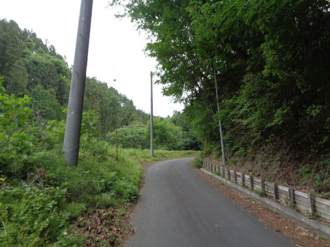 DSC03202