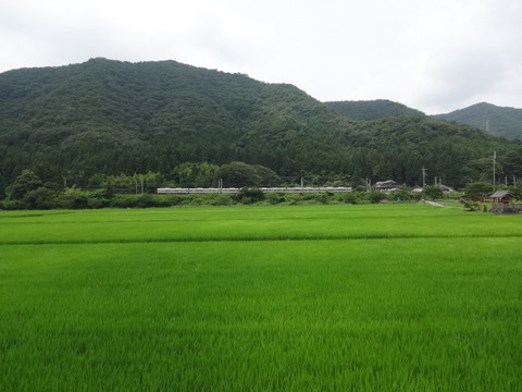 DSC08964