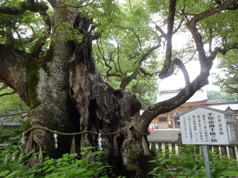 DSC07299