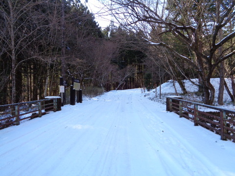 DSC00175