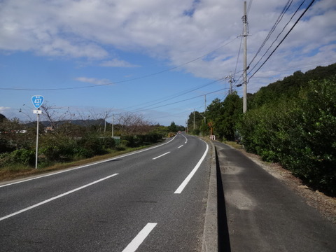 DSC09527