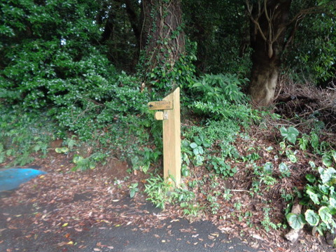 DSC00967