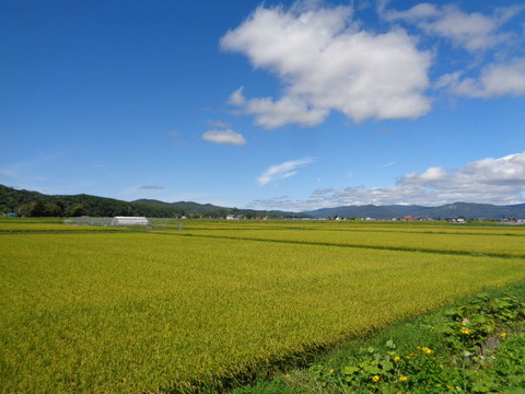 DSC03869