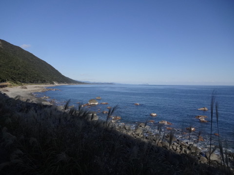 DSC01655