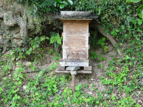 DSC07658