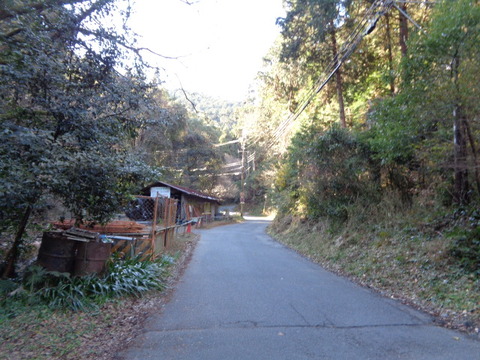 DSC03683