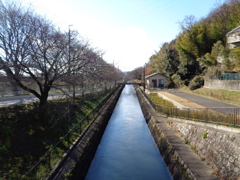 DSC03720